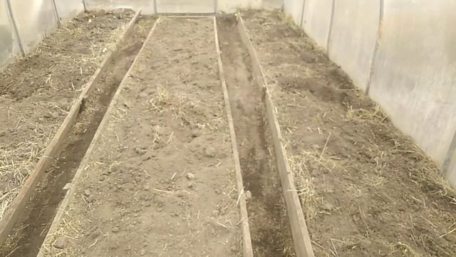 Первые работы в теплице весной // Готовим грядки под посадки// Мульча и ... // С.Х.У смотреть онлайн