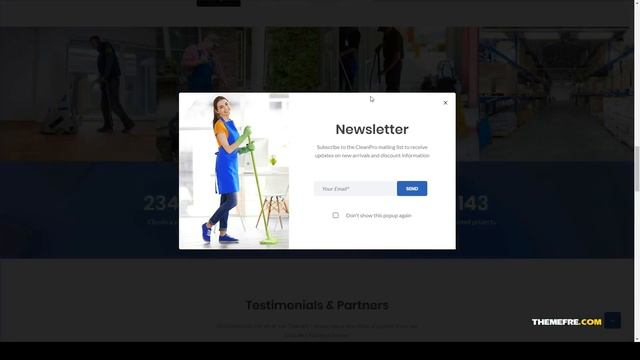 Mizuki - Cleaning Services WordPress Theme смотреть онлайн