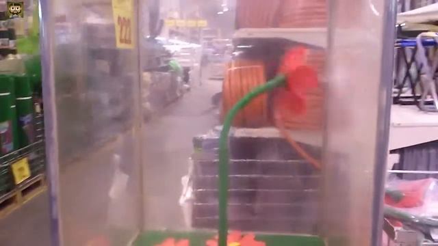 Бешеный цветок. Поливалка. смотреть онлайн