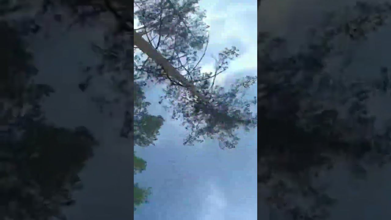 Самый ужасный триппи спин в истории fpv смотреть онлайн