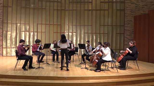 Eine Kleine Nachtmusik - Mozart (Allegro and Minuetto - Trio) смотреть онлайн