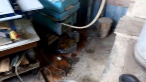 паровая воскотопка  своими руками