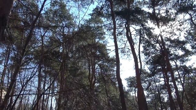 Влог / Сижу за решёткой... Первая неделя смотреть онлайн