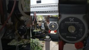 Baxi Eco Four 24 F Провели ТО Подкачка мембранного расширительного бака