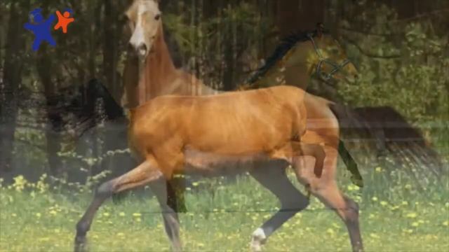 Литературное чтение в 3В смотреть онлайн