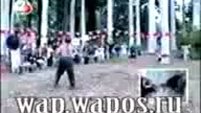 Приколы.3gp смотреть онлайн