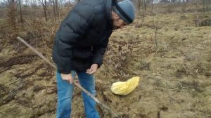 Хотим много МЕДА)Увеличение медосбора?1000кг Меда с гектара?Готовим место в ле