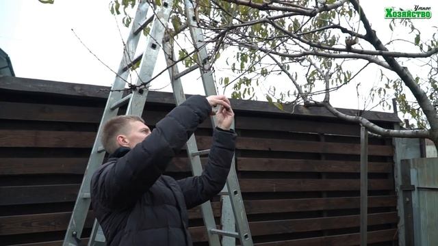 Осенняя обрезка персика. смотреть онлайн