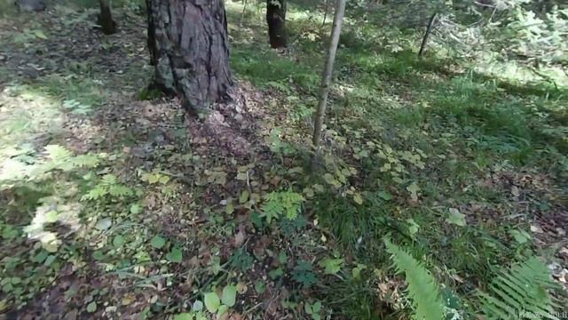 Уборка и эстетика домашнего блеска