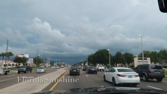 🦅🦅🦅 Стервятники воруют мусор - Сезон дождей во Флориде - FloridaSunshine смотреть онлайн