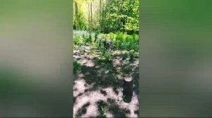 Исток реки Ока , Орловская область