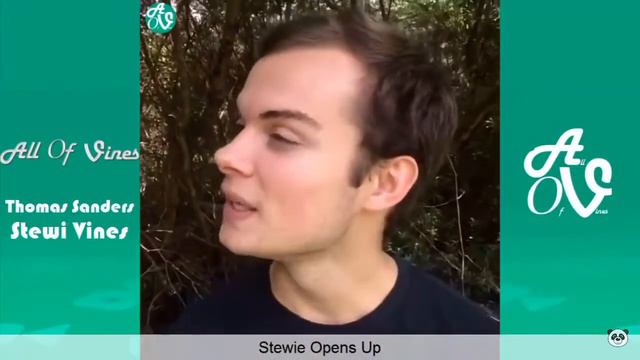 Thomas Sanders - Stewie - pecan pie vine смотреть онлайн