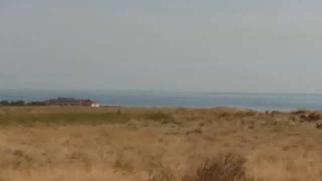 Казахстан в капчагай купаться смотреть онлайн