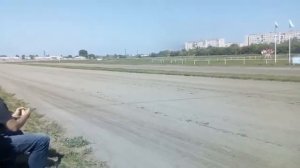 Орловский рысаки