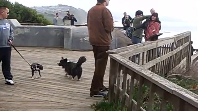 Defending San Francisco WWII,16 Inch Guns and Cold War Nike Ajax Surface-To-Air Missiles -4/4 смотреть онлайн