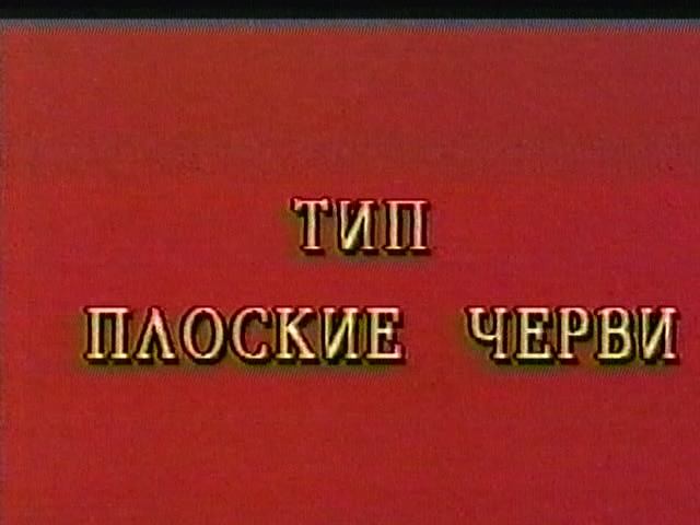 ТИП ПЛОСКИЕ ЧЕРВИ смотреть онлайн