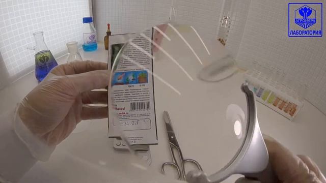 Огурец Крокодил Гена F1. СеДеК смотреть онлайн