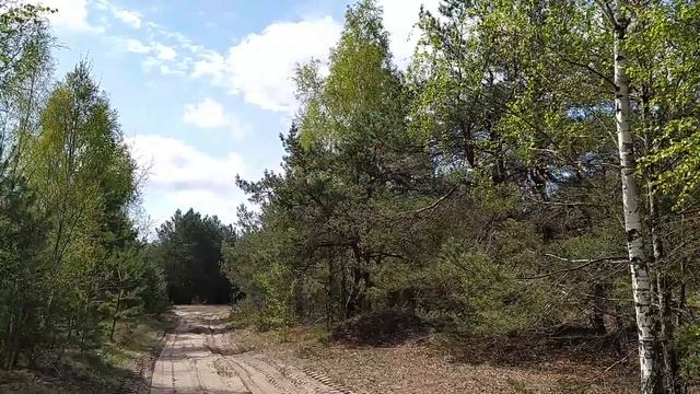 Что обязательно должен сделать каждый огородник? смотреть онлайн