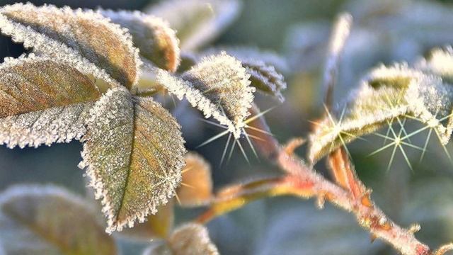 Не выдавая желаемое за действительное.