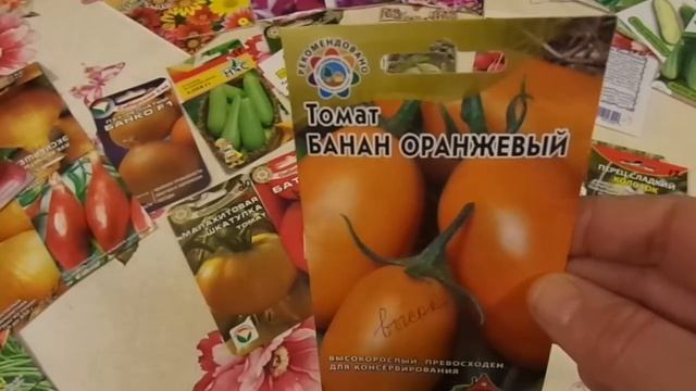 Семена 2017года смотреть онлайн