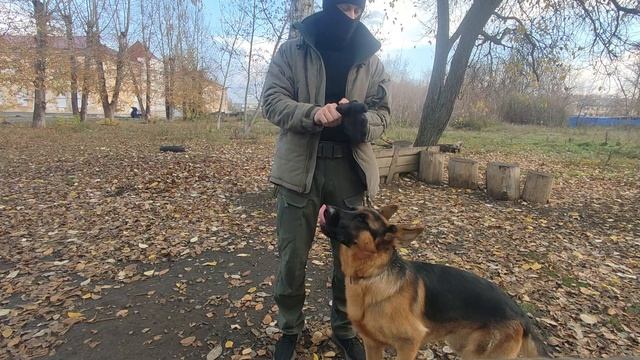 Тактическая куртка Маламут (кеотика)