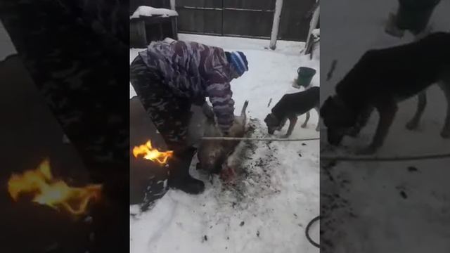 Нурлатский район деревня Селенгушичушкаченрная