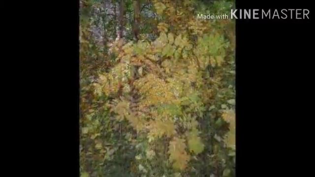 Беседа "Осенины" смотреть онлайн