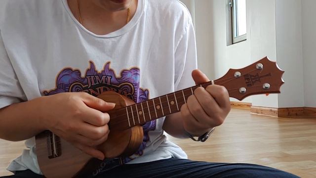 초보 우쿨렐레 연주자의 알로하오에 alohaoe ukulele beginner смотреть онлайн