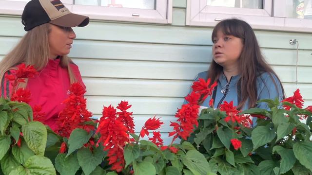 Екатерина Шикова. Разговор с любовью. смотреть онлайн