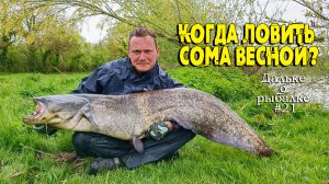 Когда, где и как ловить сома весной / Весенняя рыбалка на сома