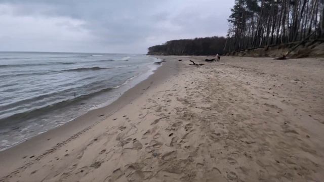 Прогулка по побережью Балтийского моря. Калининградская область смотреть онлайн