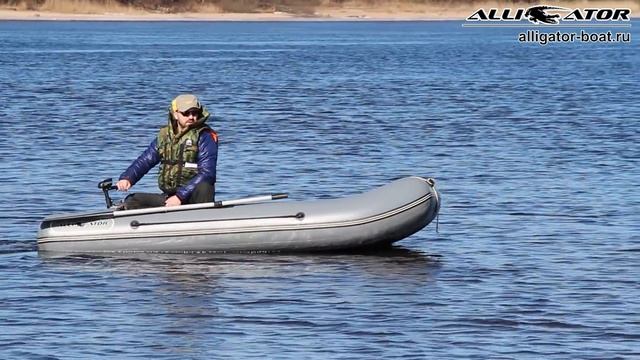 Лодочный электромотор Haswing W20 смотреть онлайн