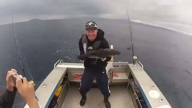 Тунец не дает возможности сделать хорошее фото смотреть онлайн