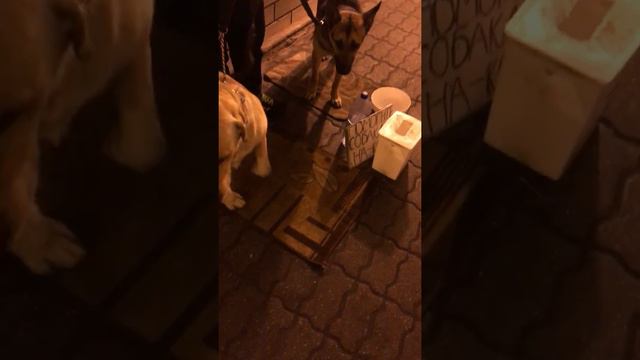 6 сентября 2017 г.