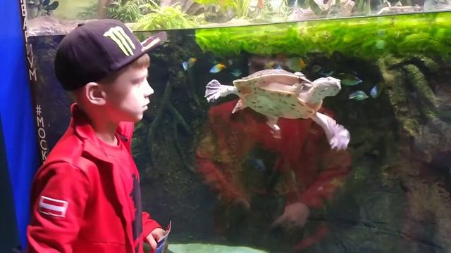 Москвариум: отзывы посетителей смотреть онлайн