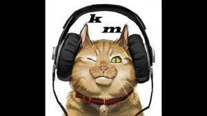 Русский Размер и Профессор Лебединский - Не было печали