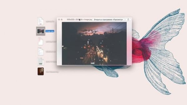 Расширяем возможности быстрого просмотра файлов (Quick Look) в Mac OS