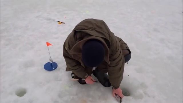 Рыбалка на Спортзоне в Савельево на Ленинградке. 5.03.17г смотреть онлайн