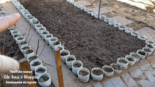 БОРДЮР ИЗ ПЛАСТИКОВЫХ БУТЫЛОК ЧТО СТАЛО ЧЕРЕЗ ГОД смотреть онлайн