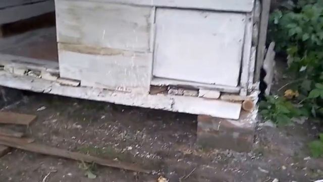 сарай для уток смотреть онлайн