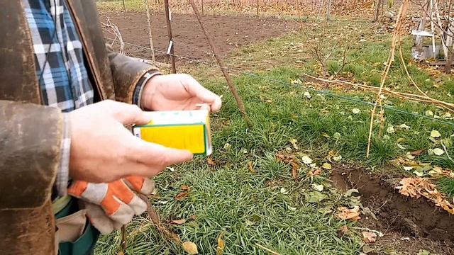 Последнее опрыскивание на винораднике. смотреть онлайн