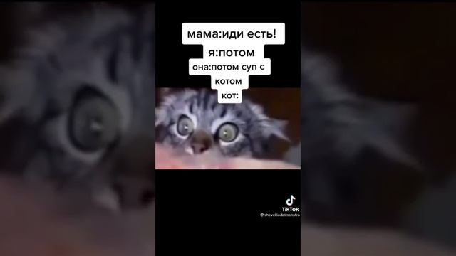 А потом суп с котом.