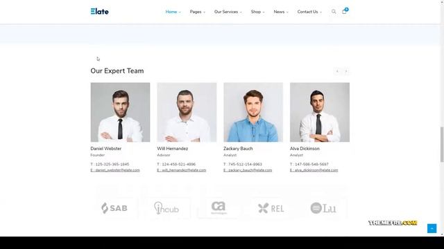 Ameri Financial Consulting WordPress Theme смотреть онлайн