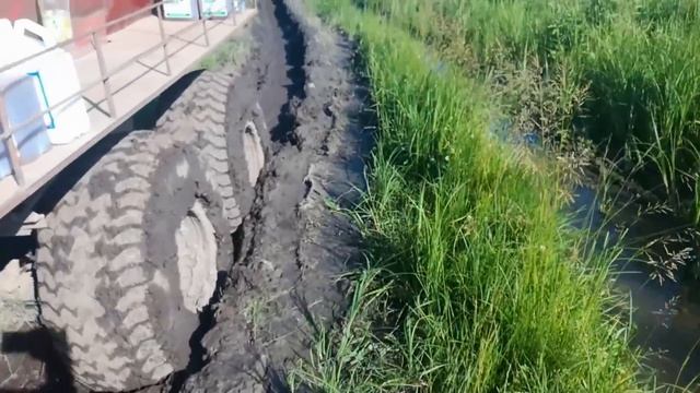 ХТЗ Т-150К засів в болоті.Хто ж тепер його витягне? #т150к #хтз #claasaxion