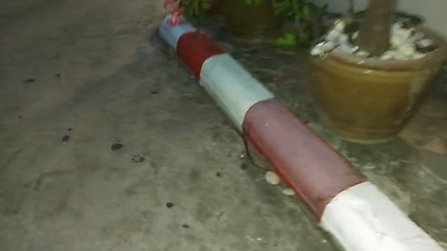 Змея в Паттайе на сои Ват Бун смотреть онлайн