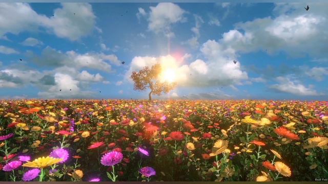 Прекрасная фортепианная Музыка/ Вдохновение/ Романтическая успокаивающая мелодия смотреть онлайн