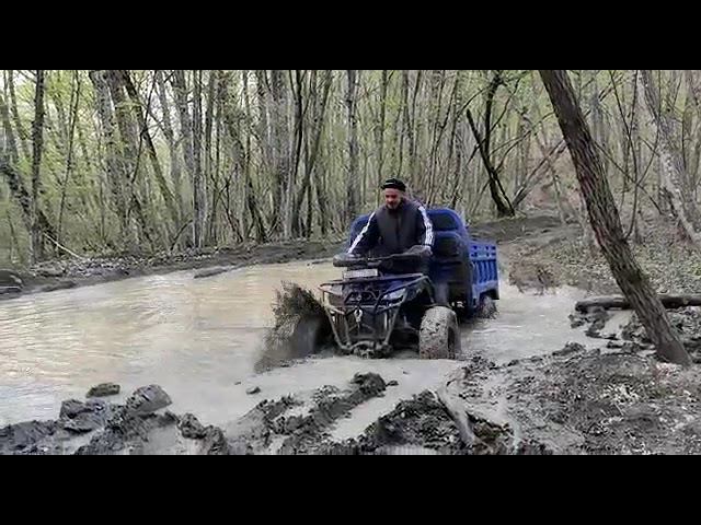 Видео от наших клиентов, Грузовой Квадроцикл Hammer TAYGA 300 кубов , 4 WD..