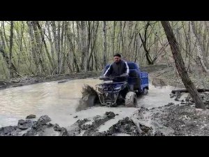 Видео от наших клиентов, Грузовой Квадроцикл Hammer TAYGA 300 кубов , 4 WD..