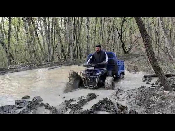 Видео от наших клиентов, Грузовой Квадроцикл Hammer TAYGA 300 кубов , 4 WD..