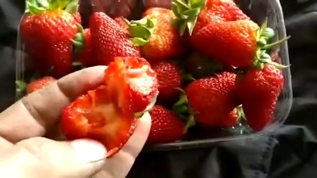 Черви в клубнике смотреть онлайн